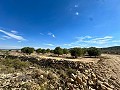 Enorme bouwkavels met ongelooflijk uitzicht in Yecla in Alicante Dream Homes API 1122