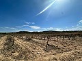 Enorme bouwkavels met ongelooflijk uitzicht in Yecla in Alicante Dream Homes API 1122
