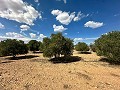 Enorme bouwkavels met ongelooflijk uitzicht in Yecla in Alicante Dream Homes API 1122