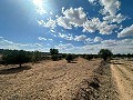 Enorme bouwkavels met ongelooflijk uitzicht in Yecla in Alicante Dream Homes API 1122