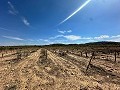 Enorme bouwkavels met ongelooflijk uitzicht in Yecla in Alicante Dream Homes API 1122