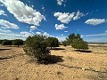 Enorme bouwkavels met ongelooflijk uitzicht in Yecla in Alicante Dream Homes API 1122