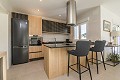 New build villa in Pinoso ready to start  in Alicante Dream Homes API 1122