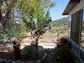 Partially Reformed 4 Bed 1 Bath Country House in Alicante Dream Homes API 1122