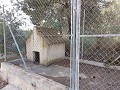 Partially Reformed 4 Bed 1 Bath Country House in Alicante Dream Homes API 1122