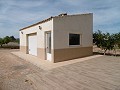 Espectacular villa de 3 dormitorios y 2 baños con piscina in Alicante Dream Homes API 1122