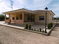 Espectacular villa de 3 dormitorios y 2 baños con piscina in Alicante Dream Homes API 1122