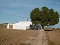 Großes Landhaus mit Pool und Weinberg in Alicante Dream Homes API 1122