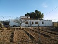 Großes Landhaus mit Pool und Weinberg in Alicante Dream Homes API 1122