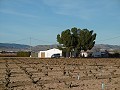 Großes Landhaus mit Pool und Weinberg in Alicante Dream Homes API 1122