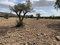 Landhaus mit 4 Schlafzimmern, Garage und Pool in Alicante Dream Homes API 1122