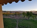 Finca de 7 chambres et 8 salles de bain à Alcoy in Alicante Dream Homes API 1122