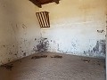 Traditional 30 bedroom Farmhouse Estate in Alicante Dream Homes API 1122