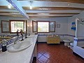 Landhaus mit 4 Schlafzimmern, 4 Minuten außerhalb von Pinoso in Alicante Dream Homes API 1122