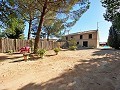 Landhaus mit 4 Schlafzimmern, 4 Minuten außerhalb von Pinoso in Alicante Dream Homes API 1122