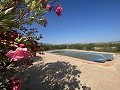 Villa tranquille de 3 chambres à Pinoso in Alicante Dream Homes API 1122