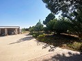 Villa tranquille de 3 chambres à Pinoso in Alicante Dream Homes API 1122