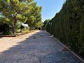 Villa tranquille de 3 chambres à Pinoso in Alicante Dream Homes API 1122