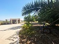 Villa tranquille de 3 chambres à Pinoso in Alicante Dream Homes API 1122