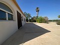 Villa tranquille de 3 chambres à Pinoso in Alicante Dream Homes API 1122