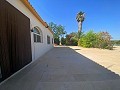 Villa tranquille de 3 chambres à Pinoso in Alicante Dream Homes API 1122
