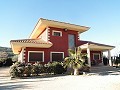 Wonderful villa with pool and garden in Pinoso in Alicante Dream Homes API 1122
