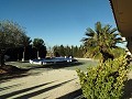 Wonderful villa with pool and garden in Pinoso in Alicante Dream Homes API 1122