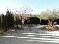 Wonderful villa with pool and garden in Pinoso in Alicante Dream Homes API 1122