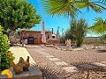 6 Schlafzimmer 5 Badezimmer Finca Catral in Alicante Dream Homes API 1122