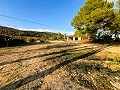Groot Landhuis in Alicante Dream Homes API 1122