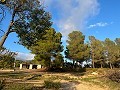 Groot Landhuis in Alicante Dream Homes API 1122