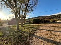 Groot Landhuis in Alicante Dream Homes API 1122