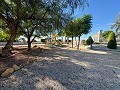 Magnífica Mansión con Pista Polideportiva,Piscina y 8 exclusivas habitaciones in Alicante Dream Homes API 1122