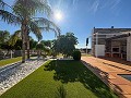 Magnífica Mansión con Pista Polideportiva,Piscina y 8 exclusivas habitaciones in Alicante Dream Homes API 1122