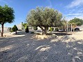 Magnífica Mansión con Pista Polideportiva,Piscina y 8 exclusivas habitaciones in Alicante Dream Homes API 1122