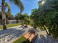 Magnífica Mansión con Pista Polideportiva,Piscina y 8 exclusivas habitaciones in Alicante Dream Homes API 1122
