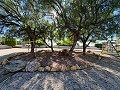 Magnífica Mansión con Pista Polideportiva,Piscina y 8 exclusivas habitaciones in Alicante Dream Homes API 1122