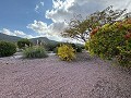 5 Bed Villa med Guest House in Alicante Dream Homes API 1122