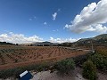 5 Bed Villa med Guest House in Alicante Dream Homes API 1122