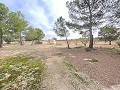 Enorme casa de campo para reformar in Alicante Dream Homes API 1122