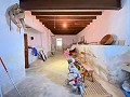 Enorme casa de campo para reformar in Alicante Dream Homes API 1122