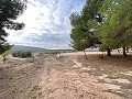 Enorme casa de campo para reformar in Alicante Dream Homes API 1122