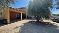 Beautiful Traditional 6 Bedroom Villa in Albatera in Alicante Dream Homes API 1122